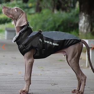 BNWOT dog  Harness winter jacket